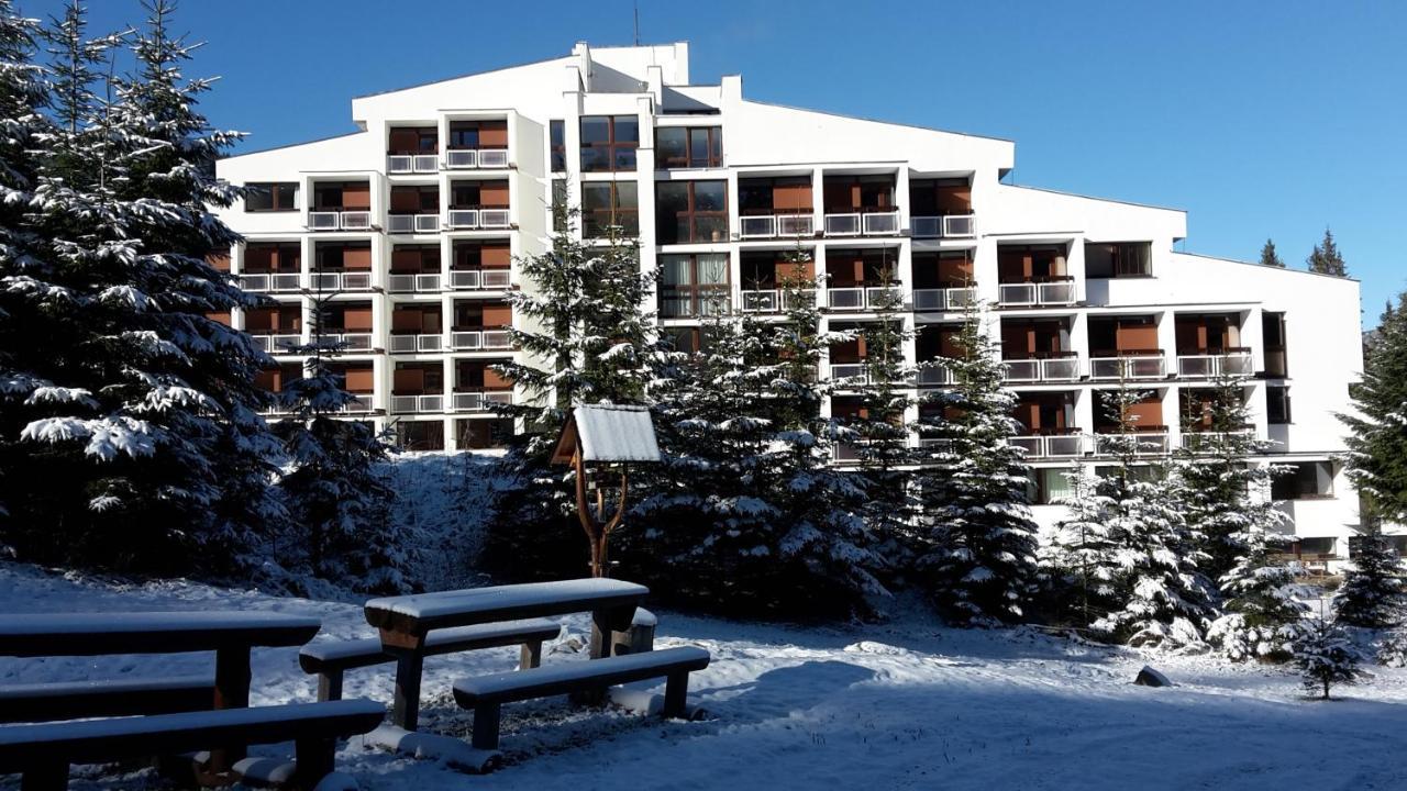 Sorea Marmot